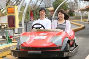 Tóquio: Ingresso para o parque de diversões Yomiuri Land
