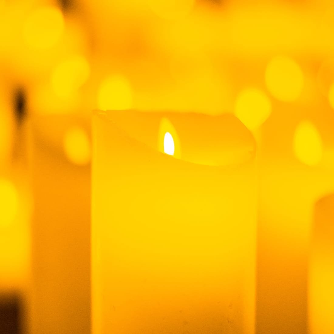 Candlelight: Joe Hisaishis musikalske verden