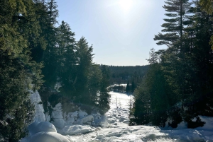 Algonquin Park: seikkailukierros Torontosta