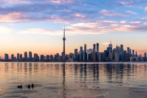 Het beste van Toronto: Privé wandeltour met een lokale bewoner
