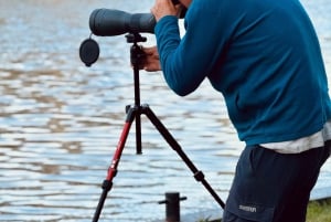Fall Colours Boat Tour on the Toronto Islands