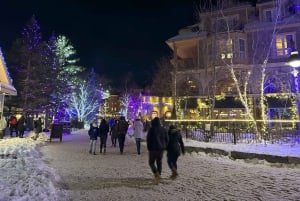 Från Toronto: Dagsutflykt till Blue Mountain för skidåkning och snowboardåkning