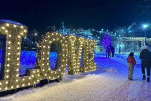 Från Toronto: Dagsutflykt till Blue Mountain för skidåkning och snowboardåkning