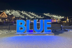 Från Toronto: Dagsutflykt till Blue Mountain för skidåkning och snowboardåkning