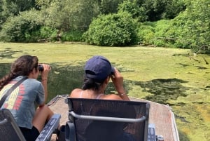 Fall Colours Boat Tour on the Toronto Islands