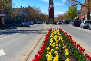 Opdagelsesrejse: Fra Niagara Falls til Niagara-on-the-Lake