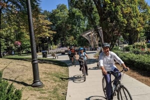 Bicicleta eléctrica por los barrios dinámicos de Toronto