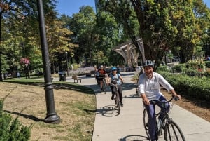 E-bike through Toronto's Dynamic Neighbourhoods