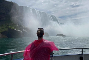 Tour per piccoli gruppi alle cascate con torre, Journey e barca - Da TO