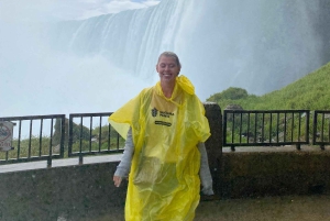 Tour per piccoli gruppi alle cascate con torre, Journey e barca - Da TO