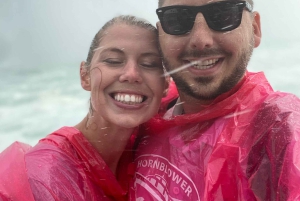 Tour per piccoli gruppi alle cascate con torre, Journey e barca - Da TO