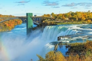 Fra Buffalo: Tilpassbar privat dagstur til Niagara Falls