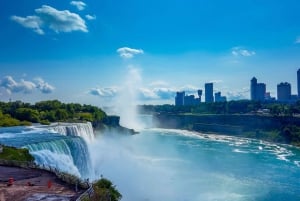 Fra Buffalo: Tilpassbar privat dagstur til Niagara Falls