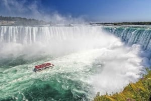 Fra Buffalo: Tilpassbar privat dagstur til Niagara Falls