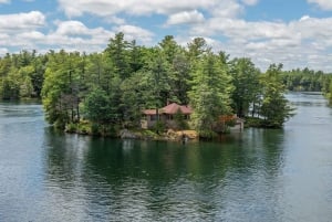 From New York City: Niagara Falls & 1000 Islands 3-Day Tour