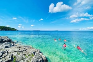 Fra Toronto: Bruce Peninsula guidet vandringsdagstur