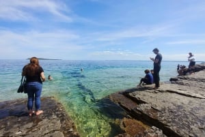 トロント発：ブルース半島国立公園のガイド付き日帰り旅行