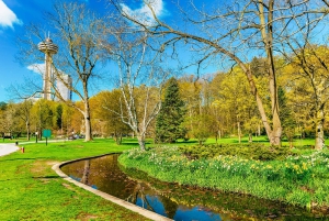 Torontosta: Muokattava opastettu päiväretki Niagaran putouksille