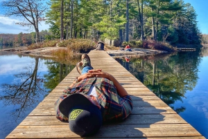 Torontosta: Tutustu Muskokaan – Hardy's Lake Provincial Park