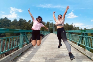 From Toronto: Killarney and French River Guided Day Hike