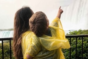 Au départ de Toronto : visite en bus des chutes du Niagara avec croisière