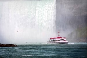 From Toronto: Niagara Falls Day Tour with Boat Cruise