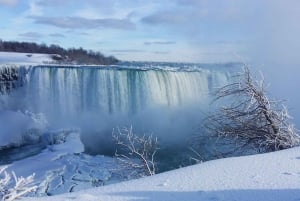 From Toronto: Niagara Falls Day Tour with Boat Cruise