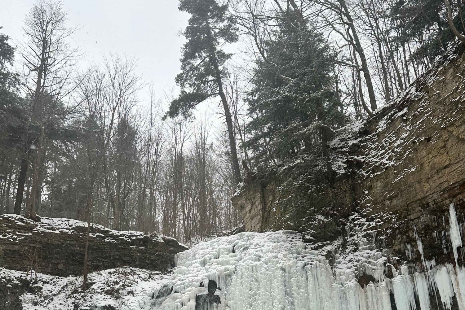 Från Toronto: Dagsutflykt till Niagarafallen & vinprovning