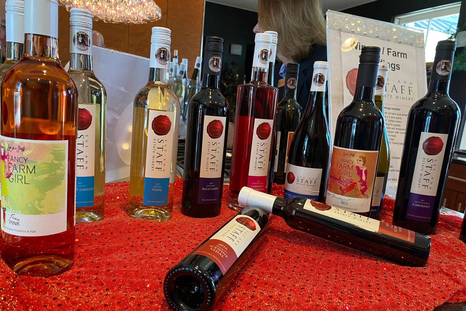 Från Toronto: Dagsutflykt till Niagarafallen & vinprovning