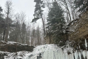 Från Toronto: Dagsutflykt till Niagarafallen & vinprovning