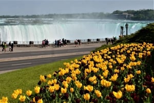 Niagara Falls Tour med Skip the Line Cruise
