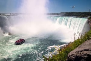 Toronto: Bustour naar Niagara Falls met Maple Tasting en NOTL