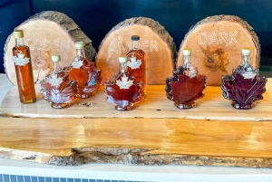 トロント発：ナイアガラの滝ガイド付き日帰りツアー（ボートクルーズ付き）