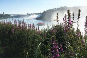 Private: Niagara Falls Full day tour from Toronto