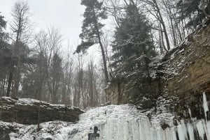 From Toronto: Niagara Falls Day Trip & Wine Tasting