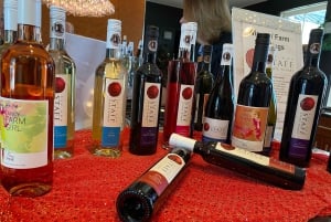 From Toronto: Niagara Falls Day Trip & Wine Tasting