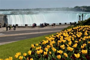 Desde Toronto: Tour turístico privado por las cataratas del Niágara