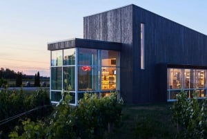 Desde Toronto: Tour turístico privado por las cataratas del Niágara