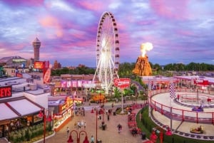 Fra Toronto: Utflukt til Niagara Falls med reise og middag