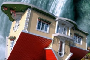 Fra Toronto: Utflukt til Niagara Falls med reise og middag