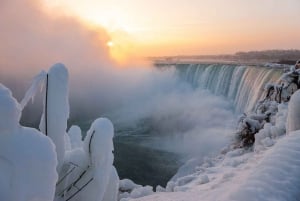 Fra Toronto: Utflukt til Niagara Falls med reise og middag