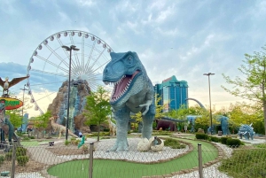 Desde Toronto: Excursión a las cataratas del Niágara con viaje y cena