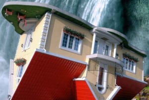 Desde Toronto: Excursión a las cataratas del Niágara con viaje y cena