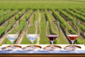 Toronto: Niagara-on-the-Lake, vinsmaking og sjokoladetur