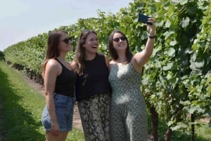 Toronto: Niagara-on-the-Lake, vinsmaking og sjokoladetur