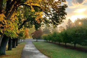 Toronto: Niagara-on-the-Lake, vinsmaking og sjokoladetur