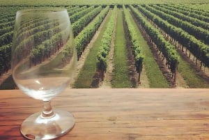 Toronto: Niagara-on-the-Lake, vinsmaking og sjokoladetur