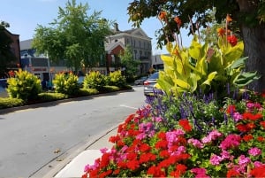 Toronto: Niagara-on-the-Lake, vinsmaking og sjokoladetur