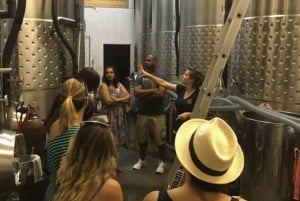 From Toronto: Niagara Wine Tours