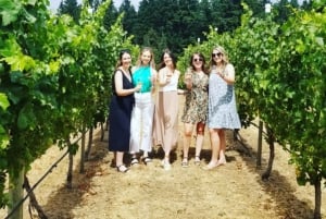 From Toronto: Niagara Wine Tours